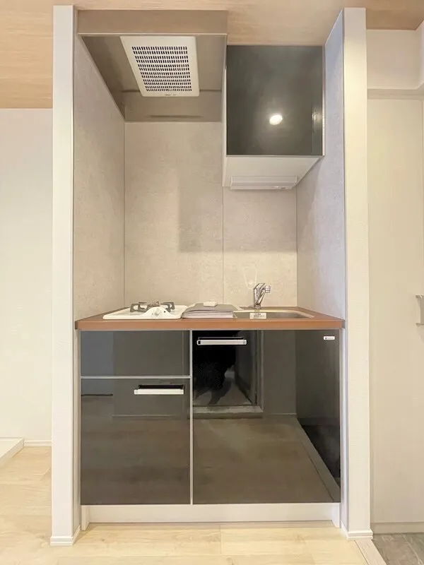 Residia Monzen Nakamachi - Interior - ["Wood", "Flooring", "Floor"]