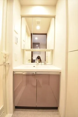 Grand Paseo Kiyosumi Shirakawa II - Interior - ["Flooring", "Floor", "Interior design"]