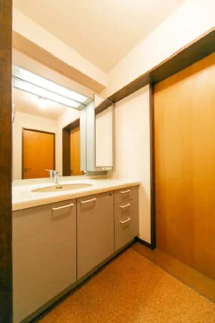 Orchid Yoyogi Uehara - Interior - ["Mirror", "Cabinetry", "Building"]