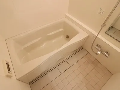 Premier Brand Yoyogi Park - Interior - ["Plumbing fixture", "Bathroom", "Bathtub"]