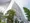 Across Meguro Tower - Exterior - ["Building", "Skyscraper", "Sky"] thumbnail