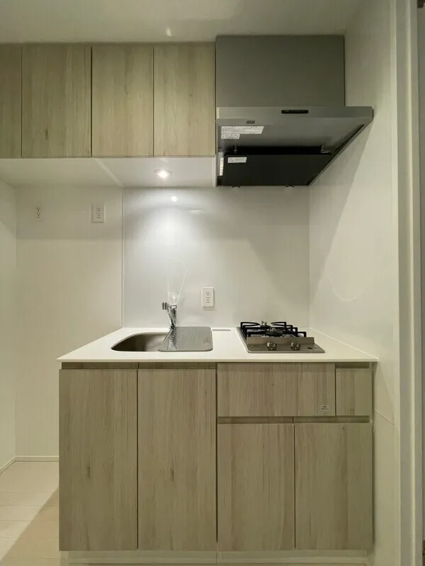 Milia Residence Shinjuku Gyoen II - Interior - ["Flooring", "Floor", "Countertop"]