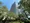 Century Park Tower thumbnail