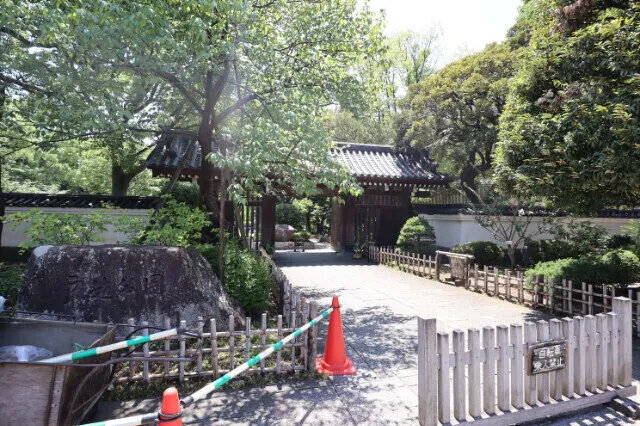 Castalia Togoshi Station Square - Other - ["Tree", "Spring", "Shade"]
