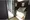 Castalia Shinjuku - Interior - ["Floor", "Glass", "Transparency"] thumbnail