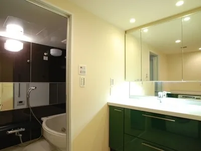 Prime Urban Shinjuku Natsumezaka Tower Residence - Interior - ["Mirror", "Tap", "Sink"]