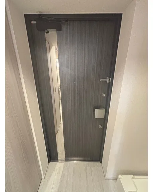 Brillia Ist Shin-Okachimachi - Interior - ["Silver", "Household hardware", "Door handle"]