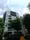 Residence Shirokane Park Front - Exterior - ["Sky", "Cloud", "Building"] thumbnail