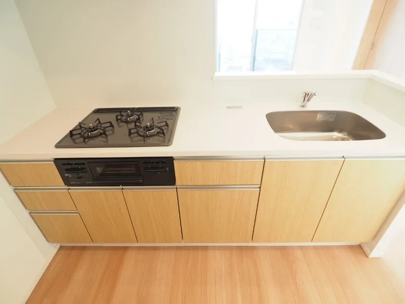 Prince Due Kamiya - Interior - ["Flooring", "Kitchen", "Kitchen Sink"]