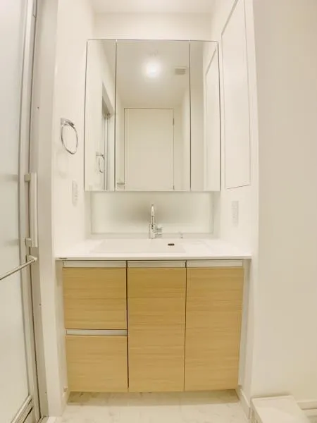 Brillia Ist Nakano Central Park - Interior - ["Mirror", "Bathroom cabinet", "Cabinetry"]