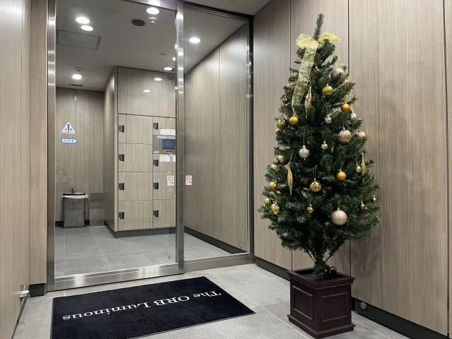 Geoluminous - Exterior - ["Christmas tree", "Plant", "Interior design"]