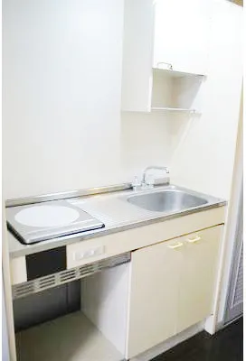 Plaer Minamiaoyama - Interior - ["Floor", "Plumbing fixture", "Sink"]