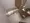 Serenite Fran Namba - Interior - ["Flooring", "Floor", "Plumbing fixture"] thumbnail