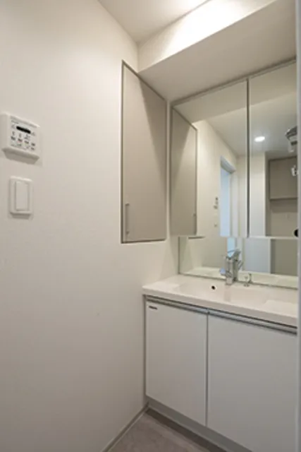 Urban Premier Akihabara - Interior - ["Mirror", "Tap", "Sink"]