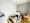 Mynavi STAY Palace Kanamecho - Interior - [] thumbnail