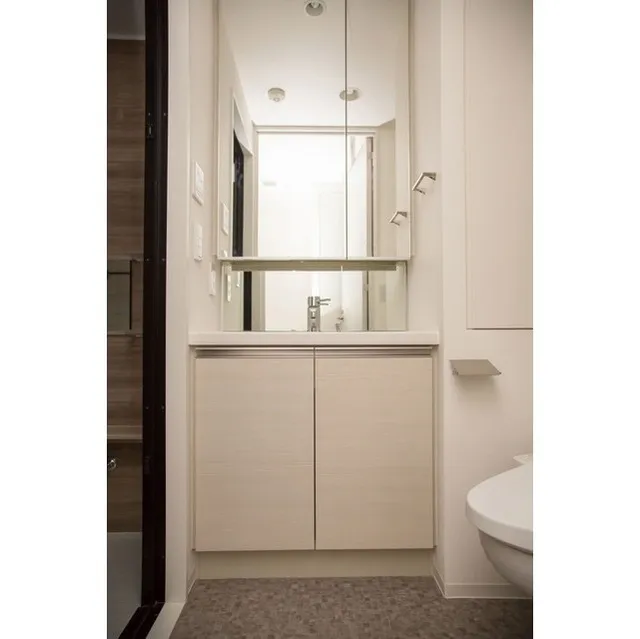 Comforia Shibuya West - Interior - ["Sink", "Cabinetry", "Bathroom cabinet"]