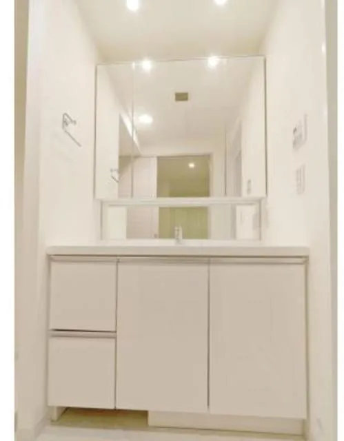 The Tokyo Towers Midtower - Interior - ["Flooring", "Floor", "Bathroom cabinet"]