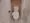 KDA SHINAGAWA OSAKI - Interior - ["Toilet seat", "Toilet", "Plumbing fixture"] thumbnail