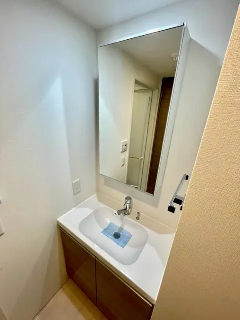 Residia Nishikoyama - Interior - ["Mirror", "Tap", "Bathroom sink"]