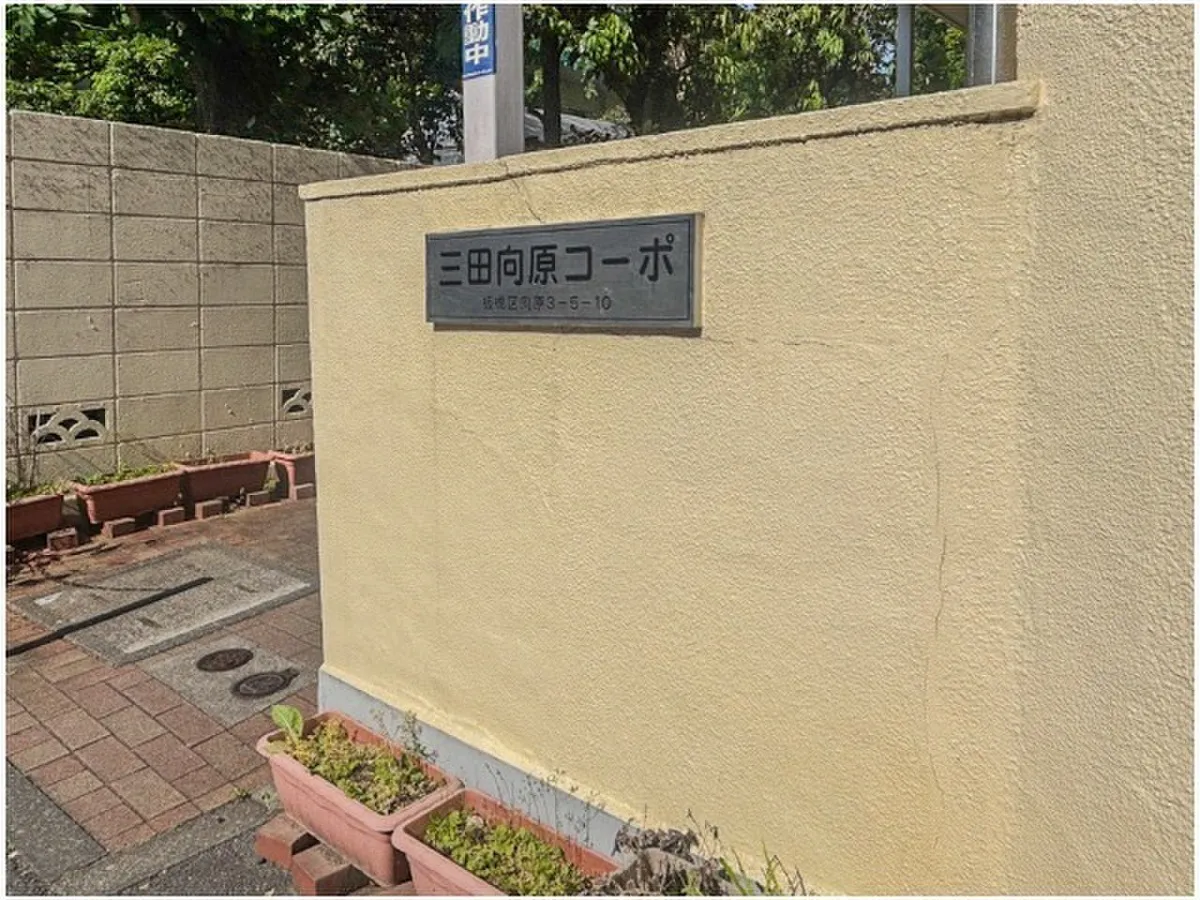 Mita Mukaihara Corpo
