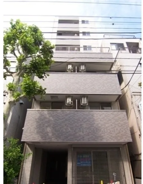 Polar Oku - Exterior - ["Plant", "Property", "Building"]
