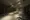 Proud Flat Kiba II - Other - ["Ceiling", "Flooring", "Lighting"] thumbnail