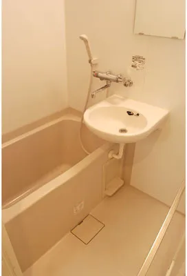 Cercadia Shibaura, Minato Ward - Interior - ["Flooring", "Floor", "Plumbing fixture"]