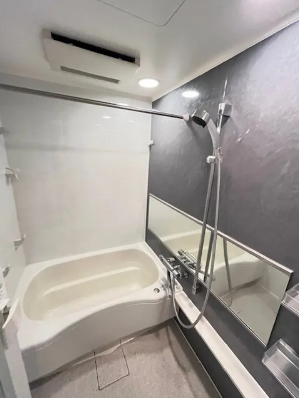 Residia Tower Azabujuban - Interior - ["Plumbing fixture", "Bathtub", "Flooring"]