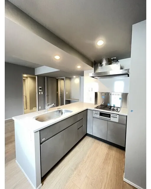 Baus Flats Kuramae - Interior - ["Kitchen", "Countertop", "Flooring"]