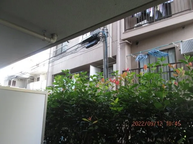 Maison De Ville Ogikubo - Interior - ["Apartment", "Balcony", "Shade"]