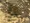 Excellent Square Miyazakidai II Building Room 304 thumbnail
