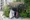 Hmlet Morishita II - Exterior - [] thumbnail