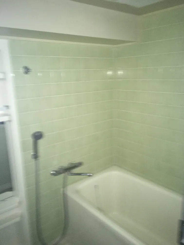 Wilterrace Minami Otsuka - Interior - ["Bathtub", "Property", "Plumbing fixture"]