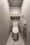 Terra Silk Forest - Interior - ["Toilet seat", "Toilet", "Flooring"] thumbnail