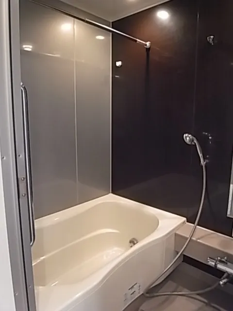 Gladito Shiodome Rosso - Interior - ["Bathtub", "Bathroom", "Plumbing fixture"]
