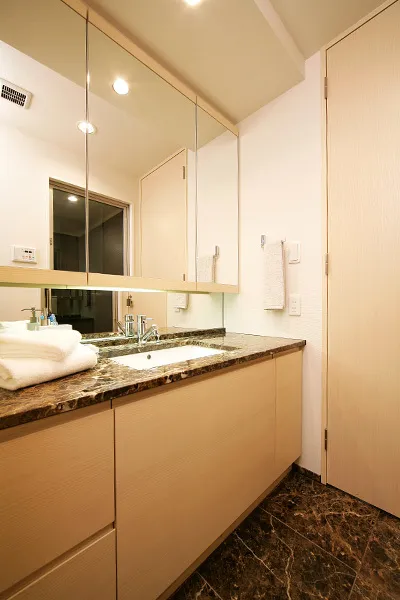 Horizon Place Akasaka - Interior - ["Brown", "Mirror", "Cabinetry"]