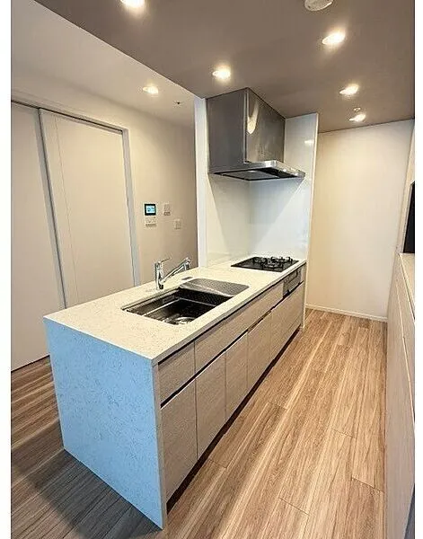 HARUMI FLAG SUN VILLAGE C Building - Interior - ["Flooring", "Floor", "Kitchen"]