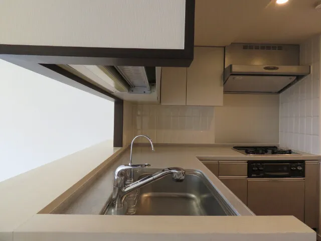Pierce Wakabayashi - Interior - ["Kitchen", "Kitchen Sink", "Countertop"]
