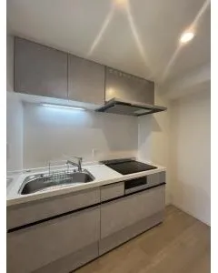 River City 21 East Towers II - Interior - ["Cabinetry", "Kitchen sink", "Countertop"]