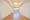 Primal Koishikawa - Interior - ["Flooring", "Floor", "Wood flooring"] thumbnail