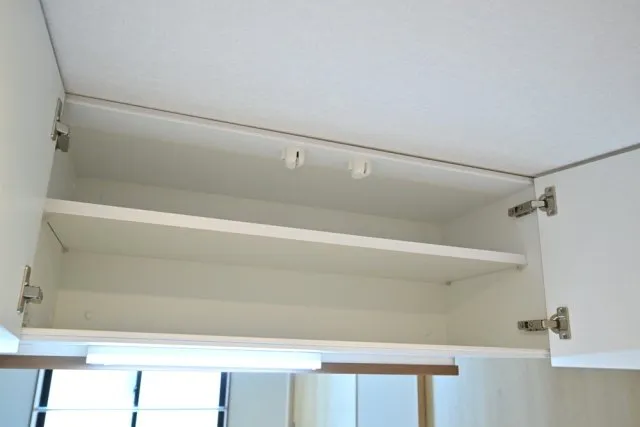 CENTRAL GARDEN RESIDENCE TOKYO - Interior - ["Wood", "Cabinetry", "Shelving"]