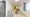 Hmlet Daitabashi - Interior - ["Flooring", "Interior design", "Floor"] thumbnail
