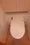 Doue Nihonbashi - Interior - ["Cleanliness", "Tile Flooring", "Toilet seat"] thumbnail