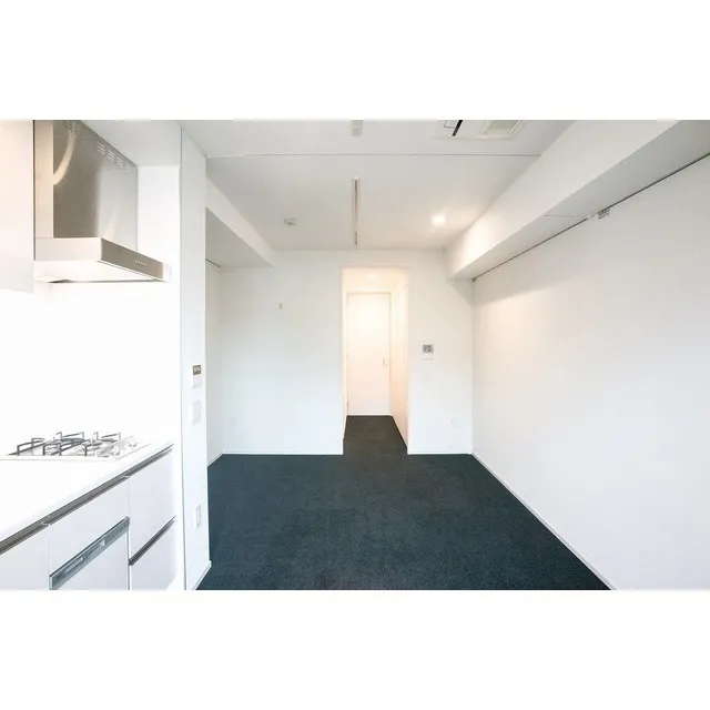 Iidabashi Garden Flats - Interior - ["Rectangle", "Cabinetry", "Lighting"]