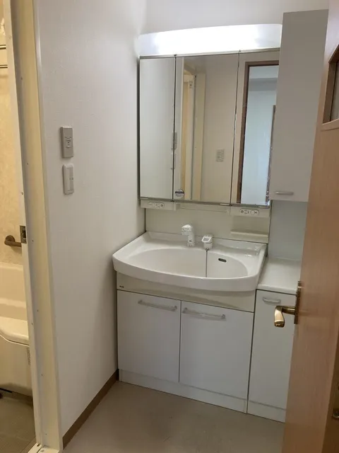 Jera Ebisu Residence - Interior - ["Bathroom Sink", "Sink", "Plumbing fixture"]