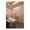 Forest Higashikoenji - Interior - ["Toilet", "Toilet seat", "Building"] thumbnail