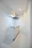 The Residence Nihonbashi - Interior - ["Flooring", "Floor", "Apartment"] thumbnail