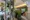 Park Axis Sumiyoshi Garden Square - Exterior - ["Interior design", "Plants", "Flowerpot"] thumbnail