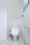 Bright Sumiyoshi - Interior - ["Toilet seat", "Toilet", "Bathroom"] thumbnail