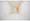 Le Coeur Shibuya Honmachi - Interior - ["Flooring", "Floor", "Wood"] thumbnail